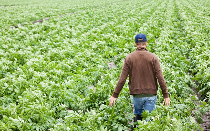 Imprenditore agricolo